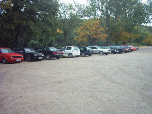 carparade.jpg
